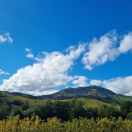 Auberge La Tete En L'Air Le Hohwald Εξωτερικό φωτογραφία