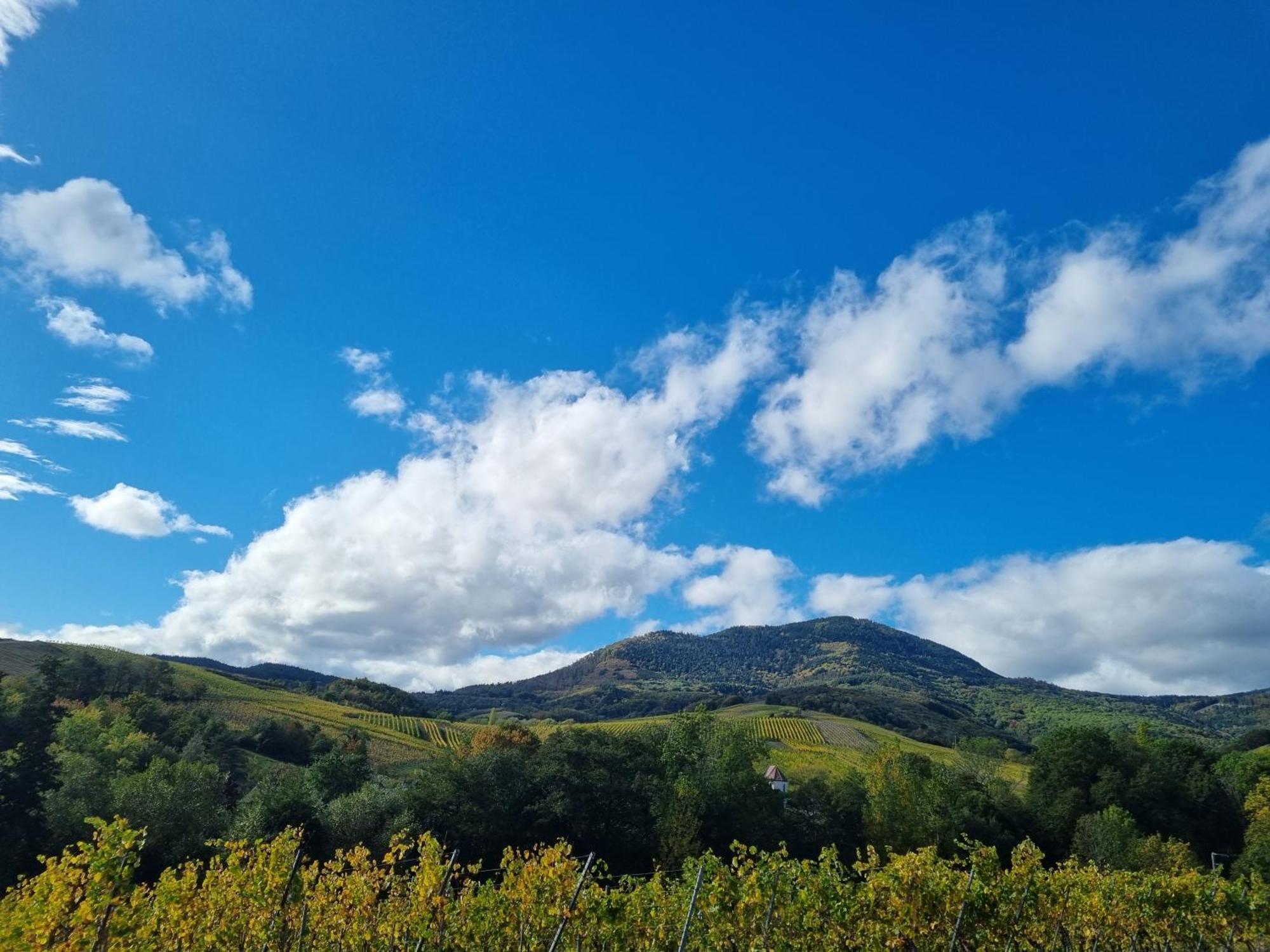 Auberge La Tete En L'Air Le Hohwald Εξωτερικό φωτογραφία