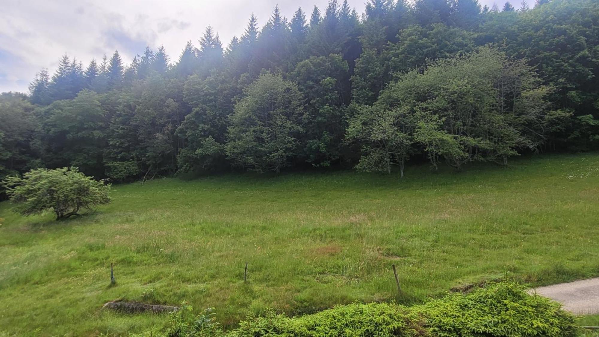 Auberge La Tete En L'Air Le Hohwald Εξωτερικό φωτογραφία