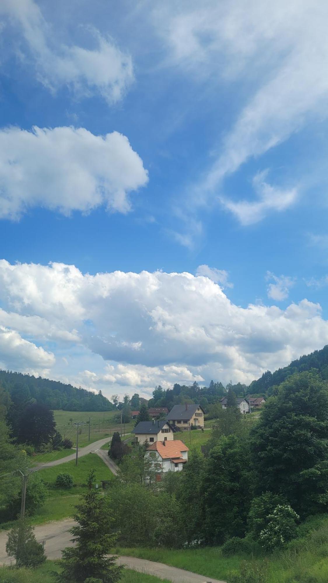 Auberge La Tete En L'Air Le Hohwald Εξωτερικό φωτογραφία
