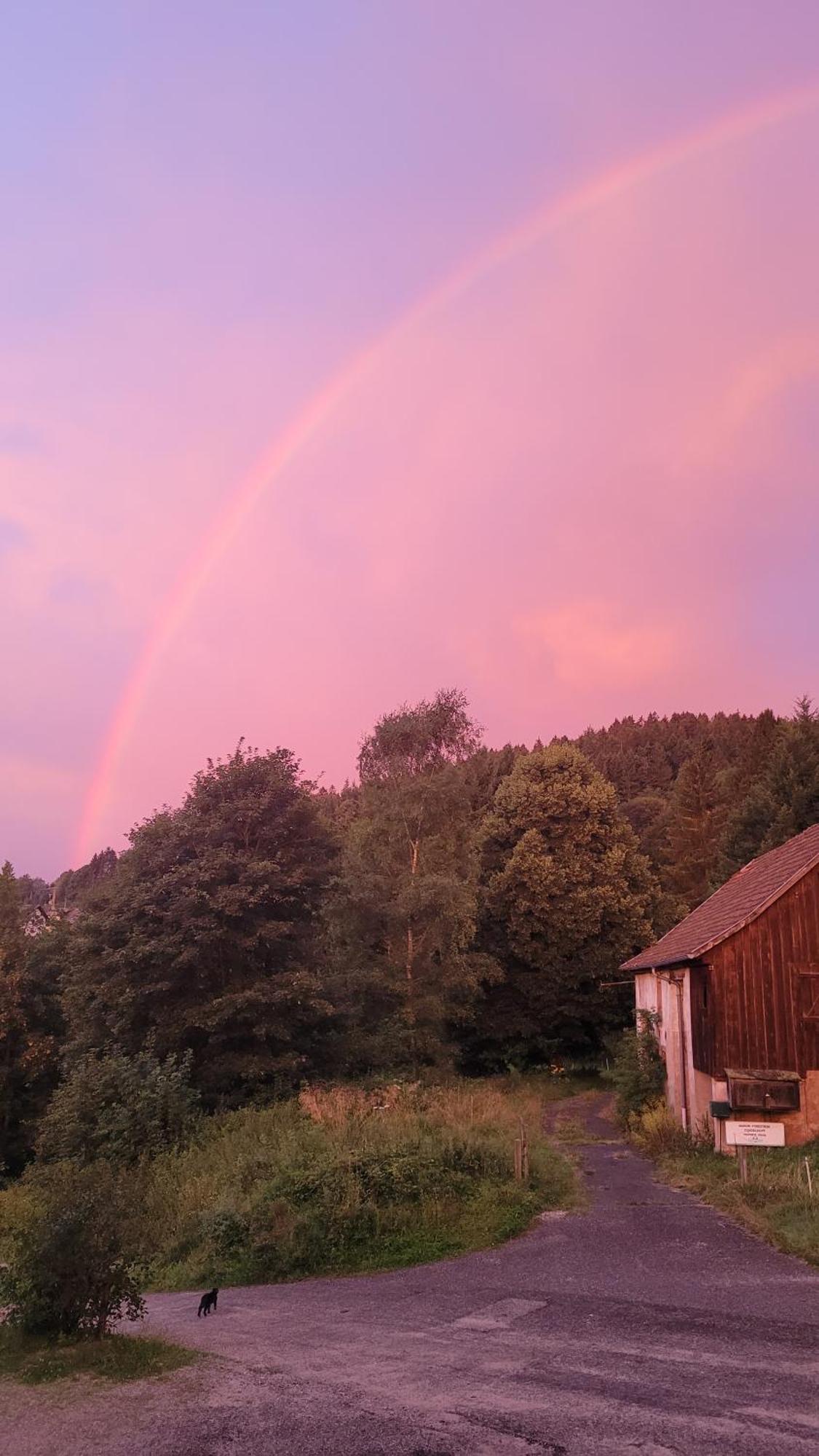 Auberge La Tete En L'Air Le Hohwald Εξωτερικό φωτογραφία